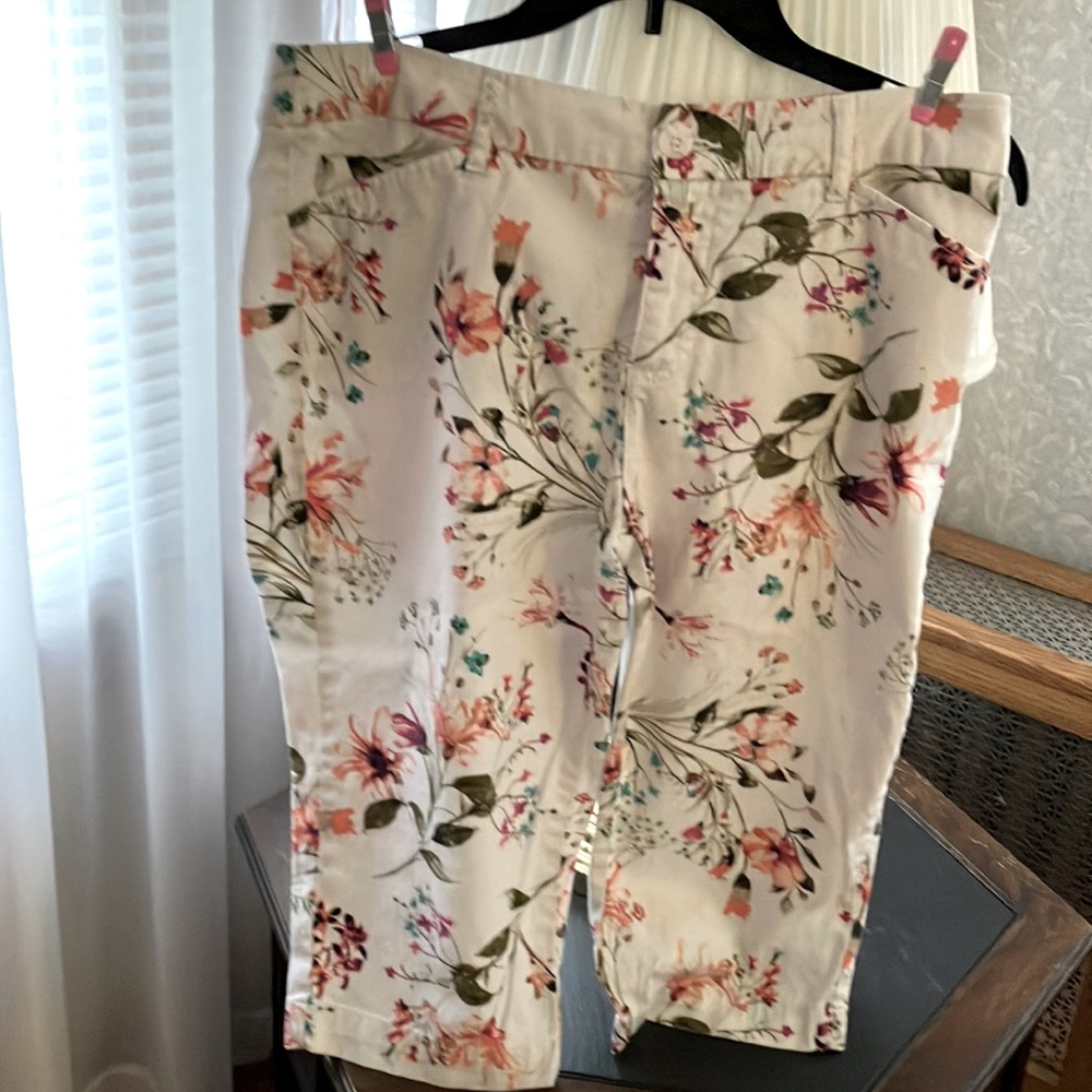 Woman’s Capris - size 12P.